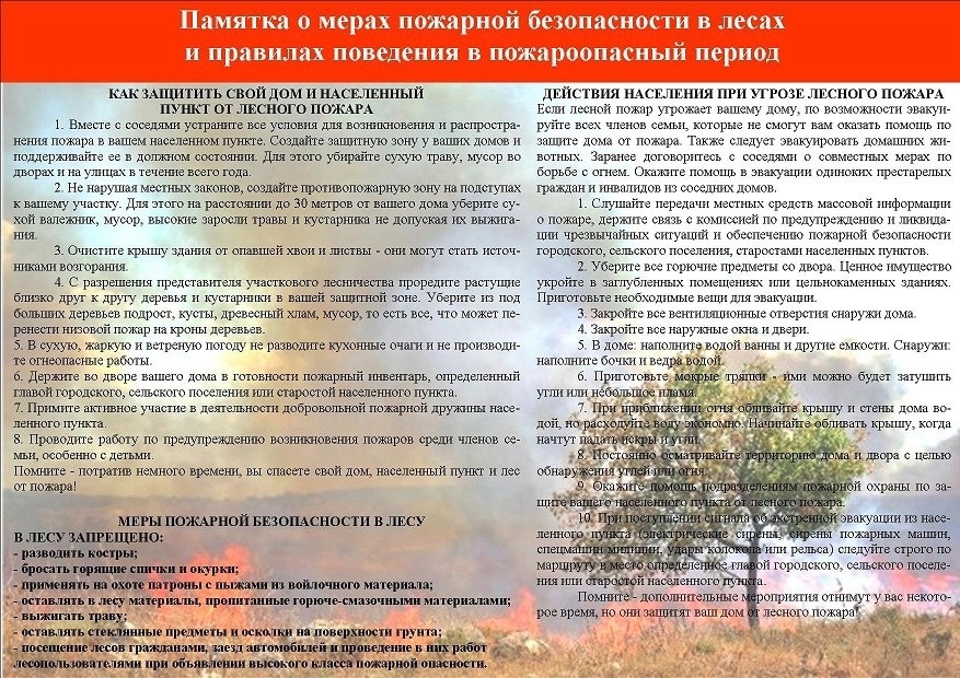 Правила пожарной безопасности  в лесах:.