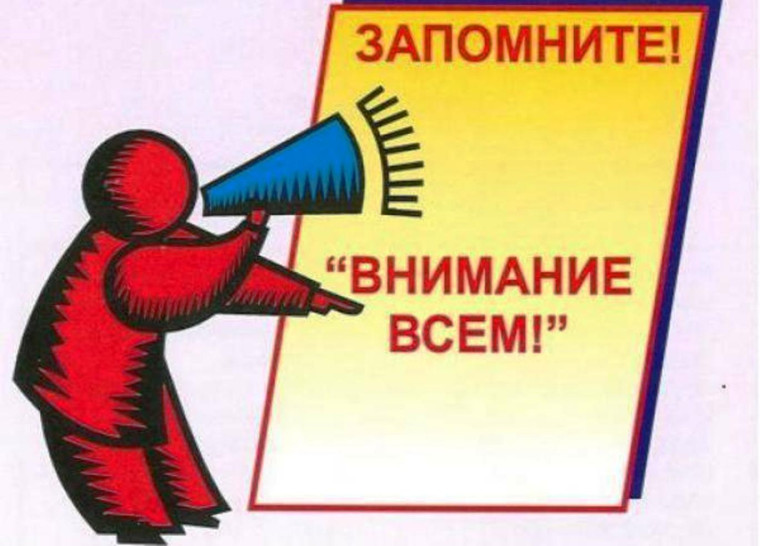 Правила сбора растительного мусора:. Правила сбора растительного мусора:.