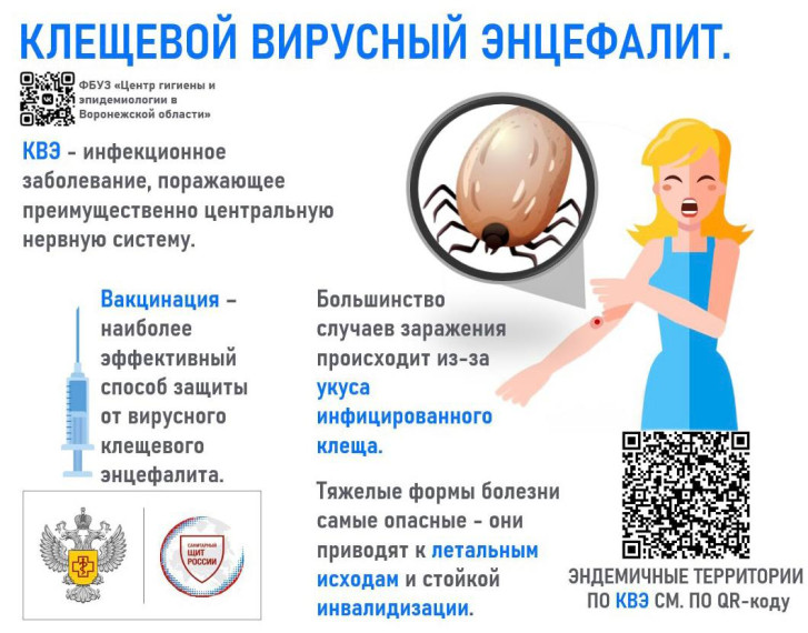 Внимание:. Внимание:.